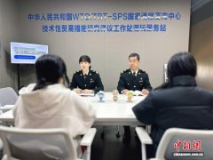 我国首个潮玩技贸措施评议基地在广东东莞落地